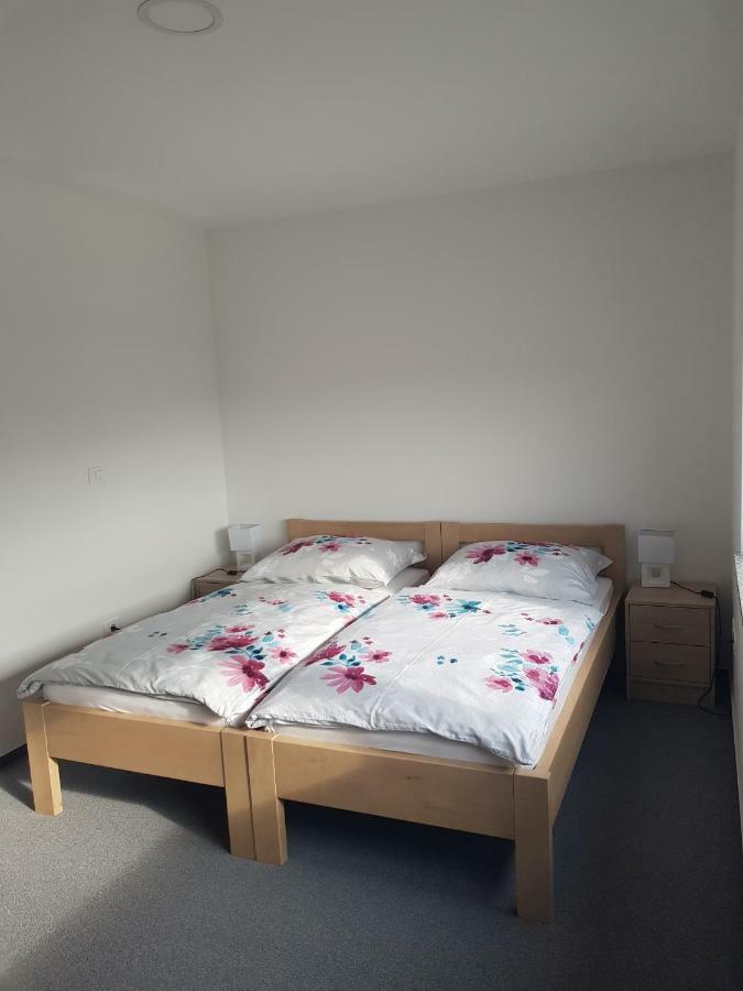 Apartmaji Jankovic Logatec Eksteriør bilde